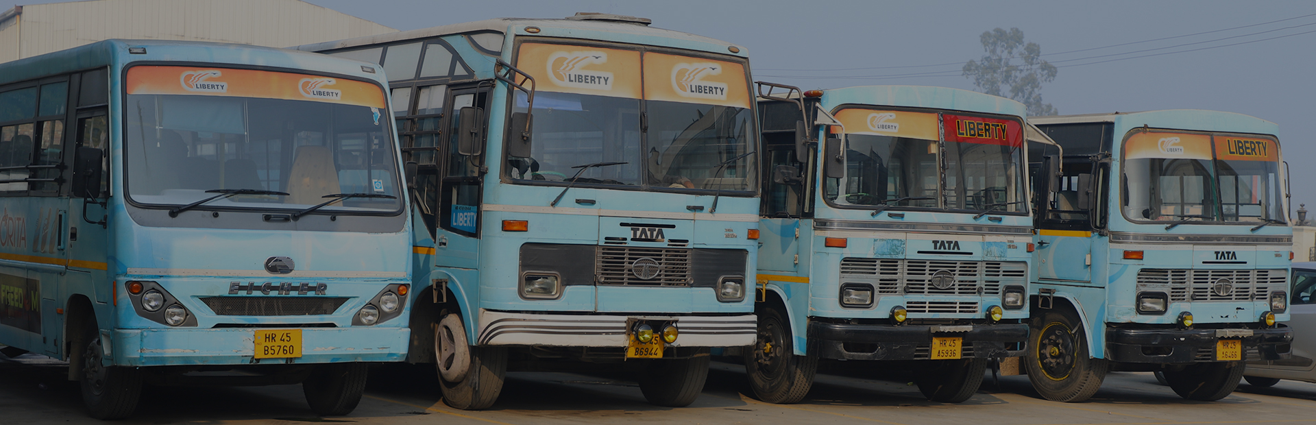 Liberty Safety Shoes Buses